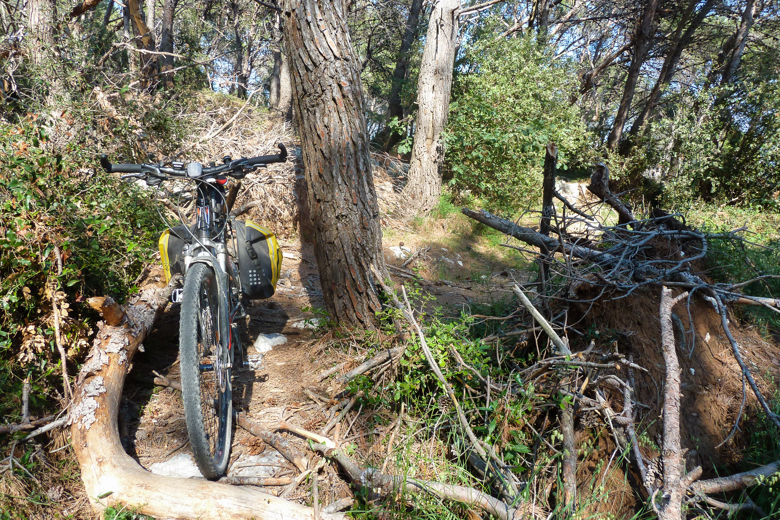 Fahrrad im Unterholz – Mountainbike-Pfade auf Kamenjak